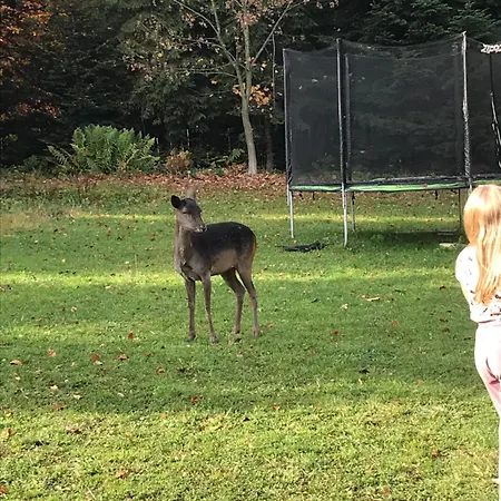 U Jakubika Appartement