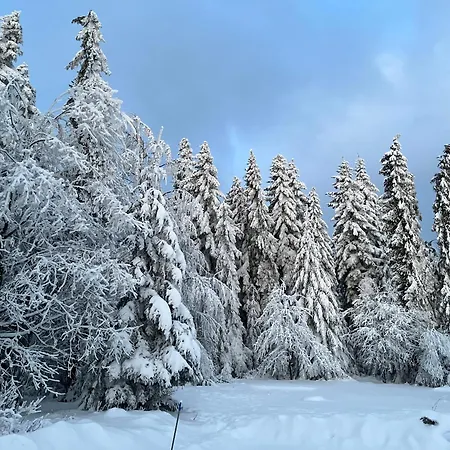U Jakubika Krynica Zdroj